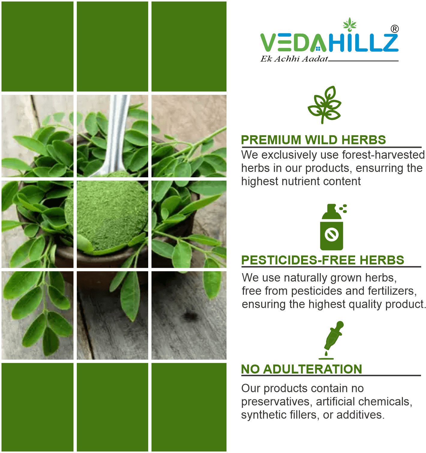 Vedahillz Moringa Powder Made from Carefully Selected Moringa Leaves